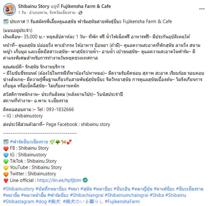 หมาชิบะ หมาชิบะ