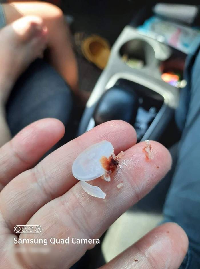 ไส้กรอกอีสาน ไส้กรอกอีสาน