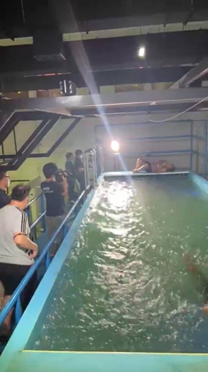 โตโน่ ภาคิน โตโน่ ภาคิน