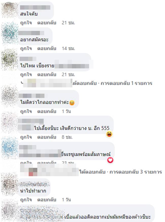 หมาชิบะ หมาชิบะ