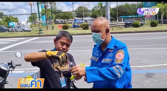 งูในมอเตอร์ไซค์ งูในมอเตอร์ไซค์