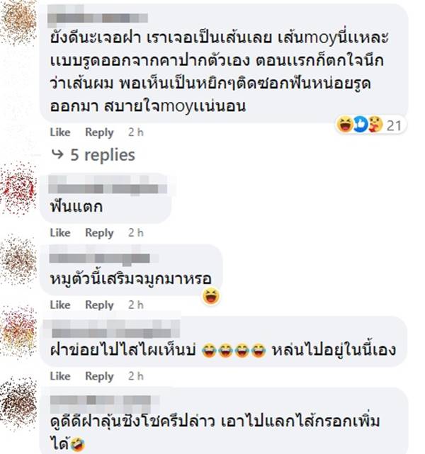 ไส้กรอกอีสาน ไส้กรอกอีสาน