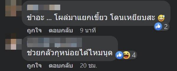 จับงูเหลือม จับงูเหลือม