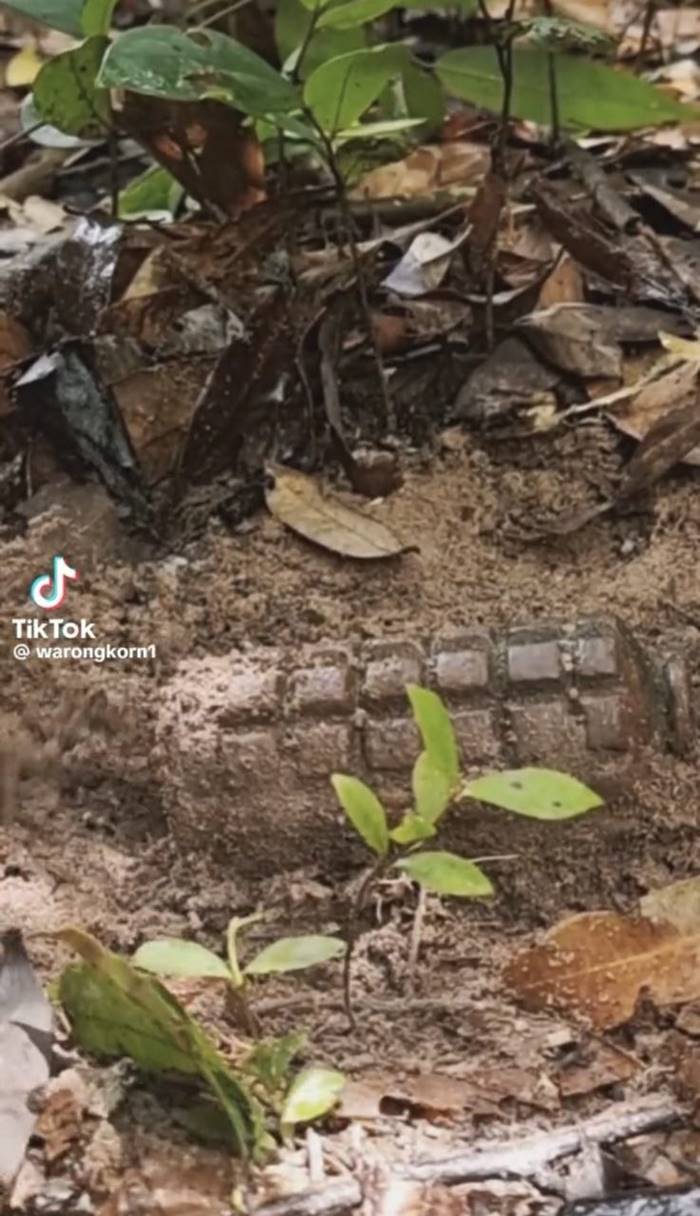 เก็บกู้ระเบิด เก็บกู้ระเบิด