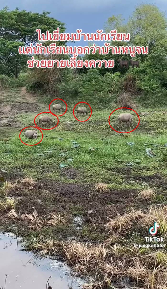 ครู, นักเรียน ครู, นักเรียน