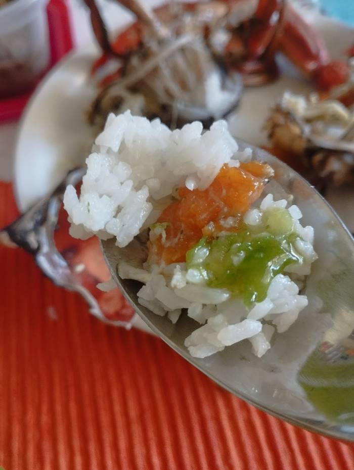 ปูม้าอิตาลี ปูม้าอิตาลี