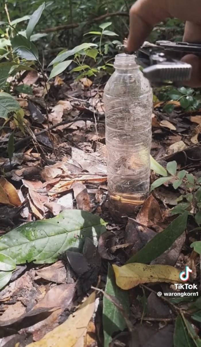 เก็บกู้ระเบิด เก็บกู้ระเบิด