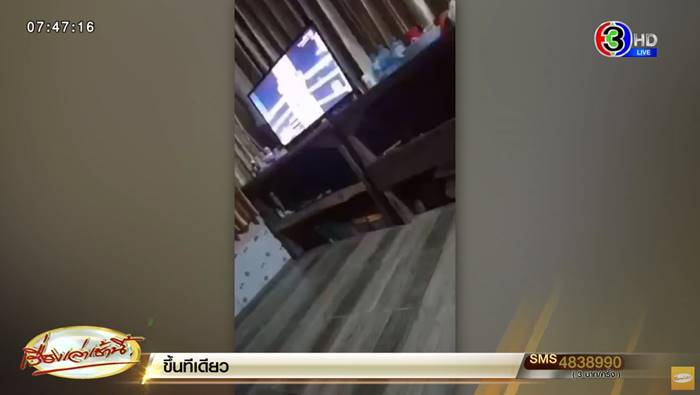 เจ้าอาวาสอมนกเขา เจ้าอาวาสอมนกเขา