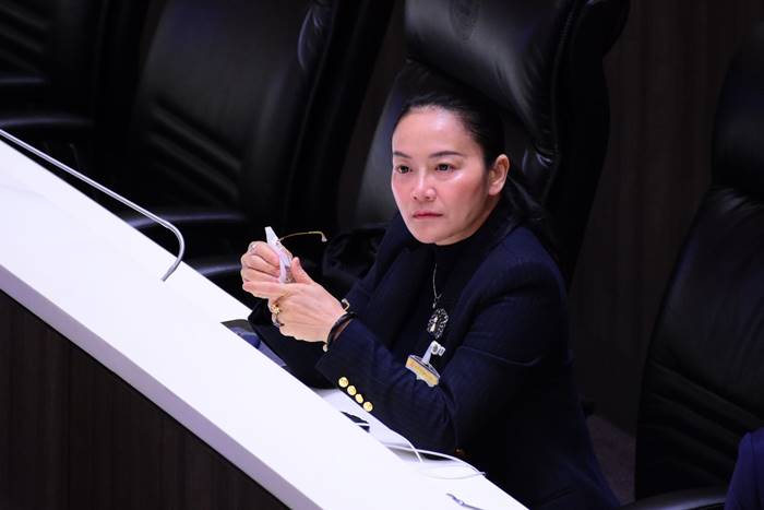 ติ่ง มัลลิกา ติ่ง มัลลิกา