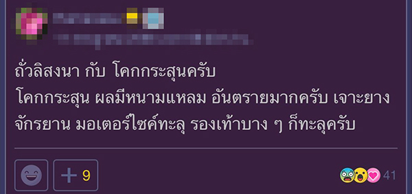 จัดสวน จัดสวน