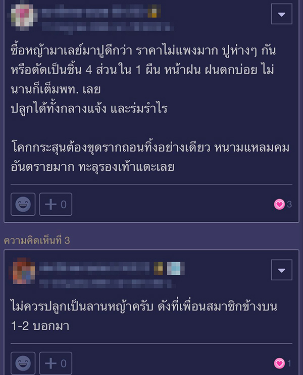 จัดสวน จัดสวน