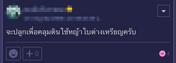 จัดสวน จัดสวน