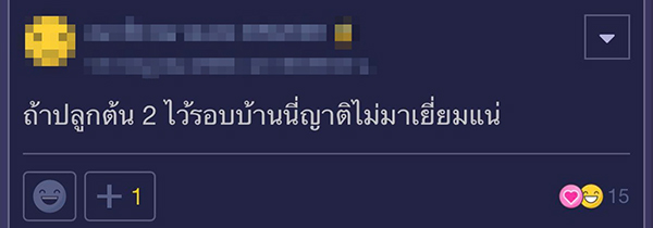 จัดสวน จัดสวน