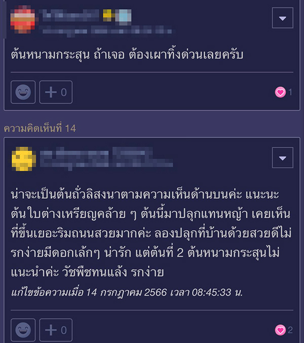 จัดสวน จัดสวน