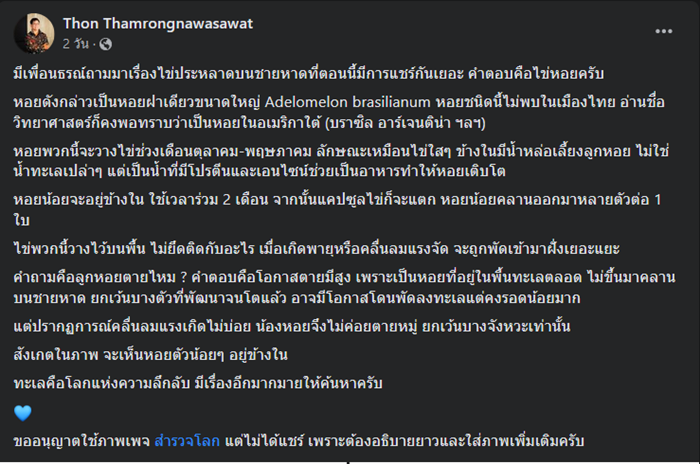 ไข่ประหลาด ไข่ประหลาด