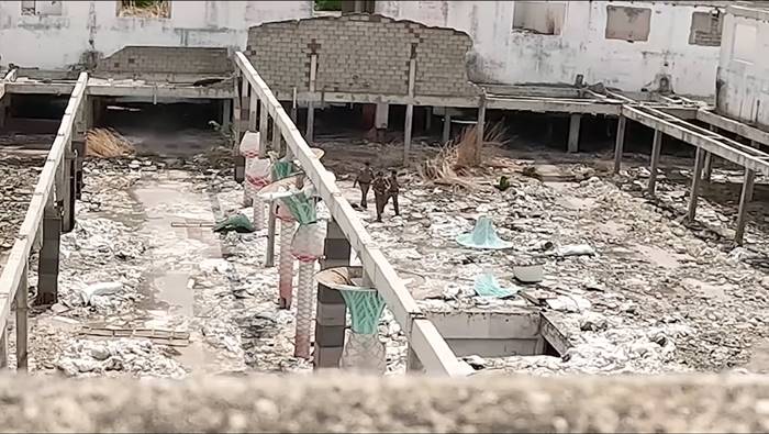 My Mate Nate My Mate Nate