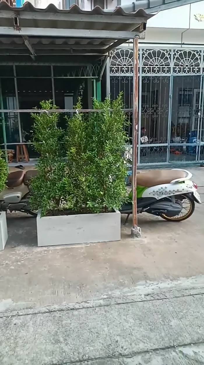 ปัญหาเพื่อนบ้าน ปัญหาเพื่อนบ้าน