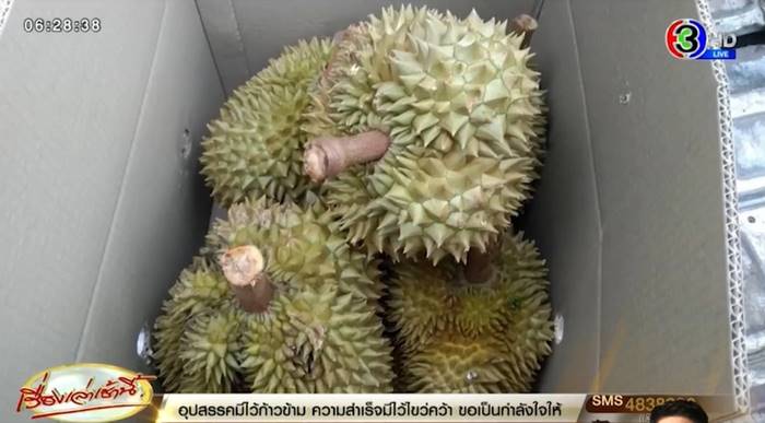 ทุเรียนเถื่อน ทุเรียนเถื่อน