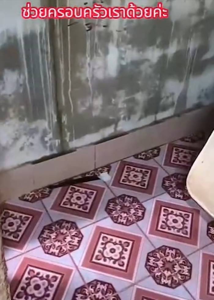 ปัญหาเพื่อนบ้าน ปัญหาเพื่อนบ้าน