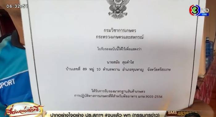 ทุเรียนเถื่อน ทุเรียนเถื่อน