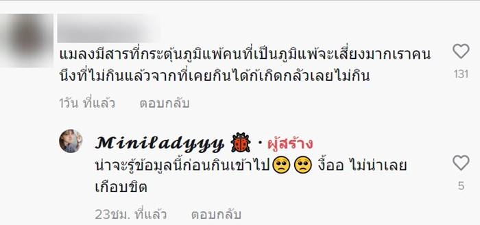 แมลงทอด แมลงทอด