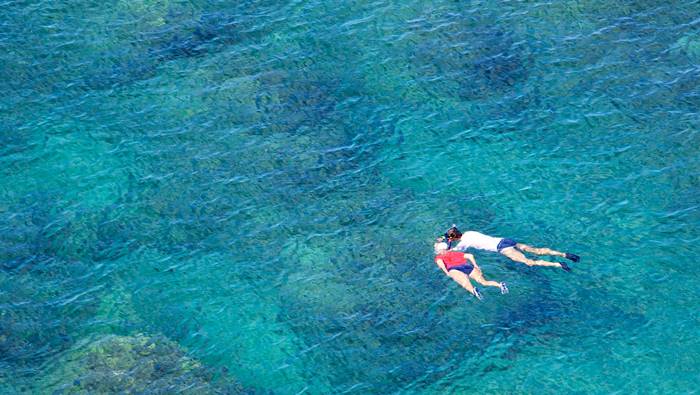 ดำน้ำ ดำน้ำ