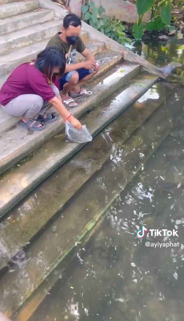 ทำบุญปล่อยปลา ทำบุญปล่อยปลา