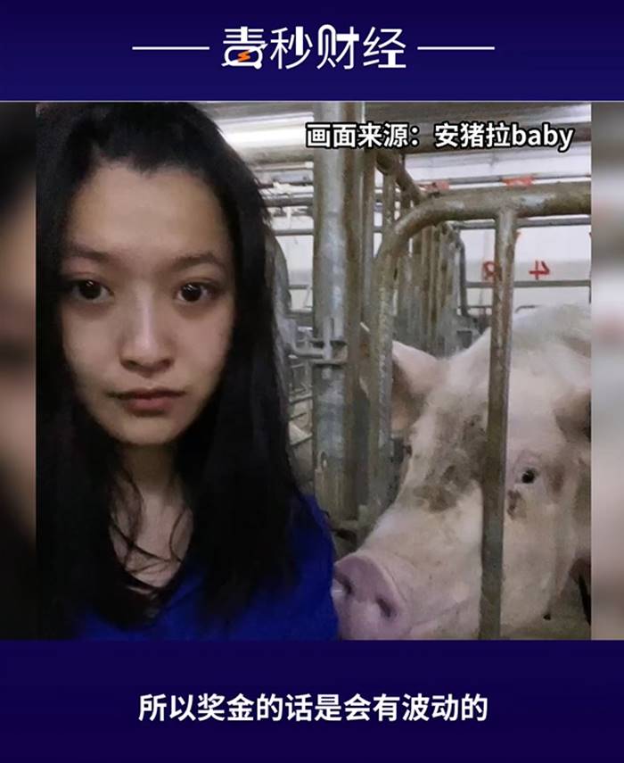 ฟาร์มหมู ฟาร์มหมู