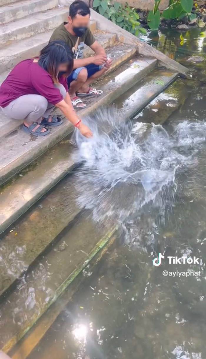 ทำบุญปล่อยปลา ทำบุญปล่อยปลา