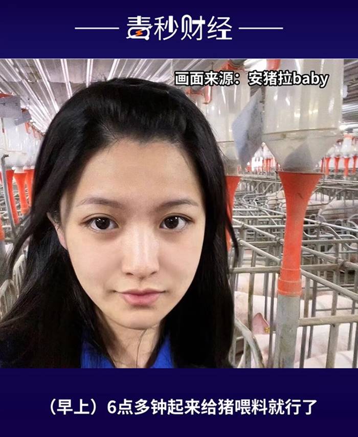 ฟาร์มหมู ฟาร์มหมู