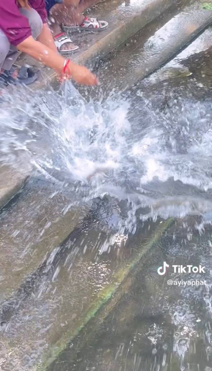 ทำบุญปล่อยปลา ทำบุญปล่อยปลา