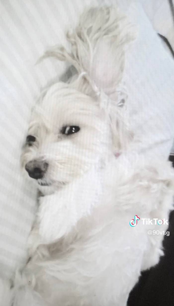 โทรศัพท์มือสอง โทรศัพท์มือสอง