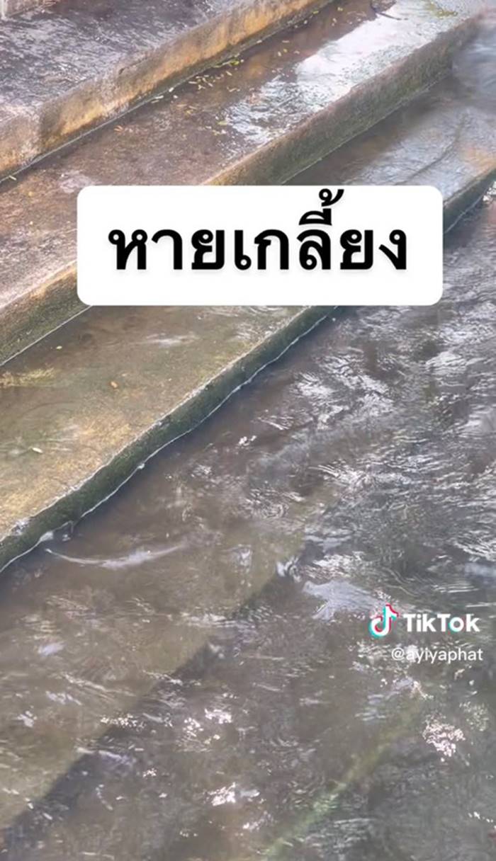 ทำบุญปล่อยปลา ทำบุญปล่อยปลา