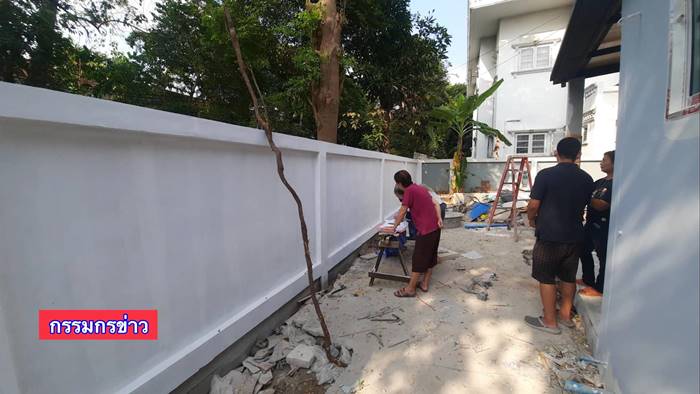 ต้นหูกระจง ต้นหูกระจง