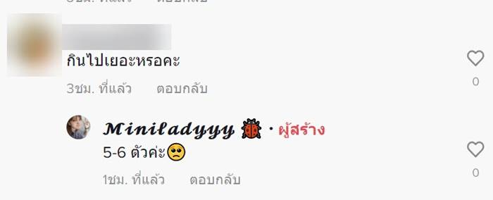 แมลงทอด แมลงทอด