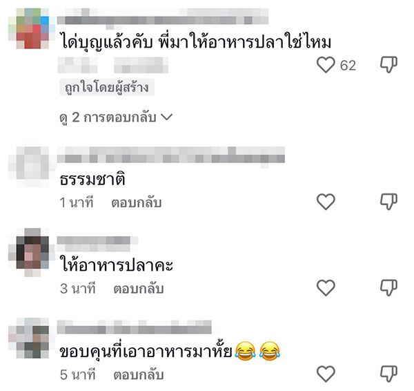 ทำบุญปล่อยปลา ทำบุญปล่อยปลา