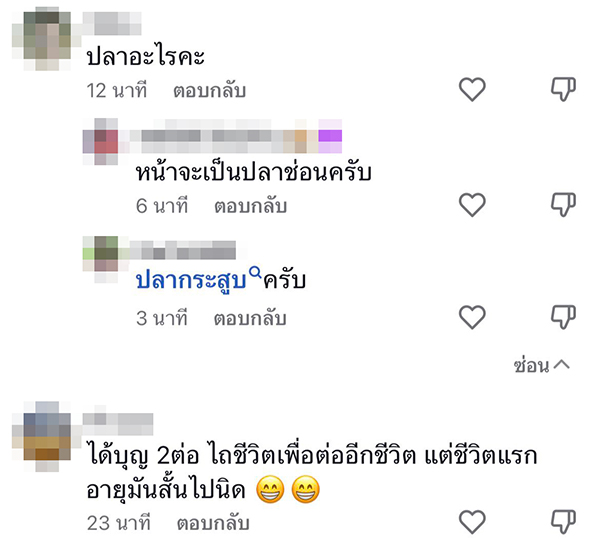 ทำบุญปล่อยปลา ทำบุญปล่อยปลา