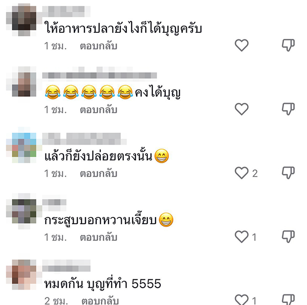 ทำบุญปล่อยปลา ทำบุญปล่อยปลา