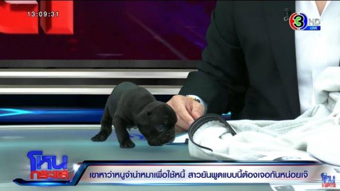 หนุ่ม กรรชัย หนุ่ม กรรชัย