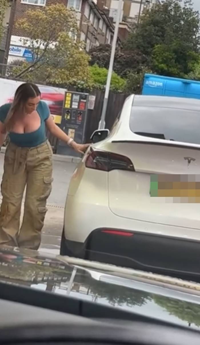 Tesla Tesla