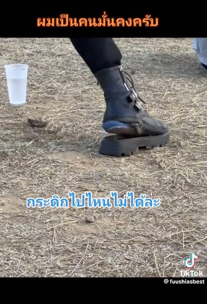 เต้น เต้น