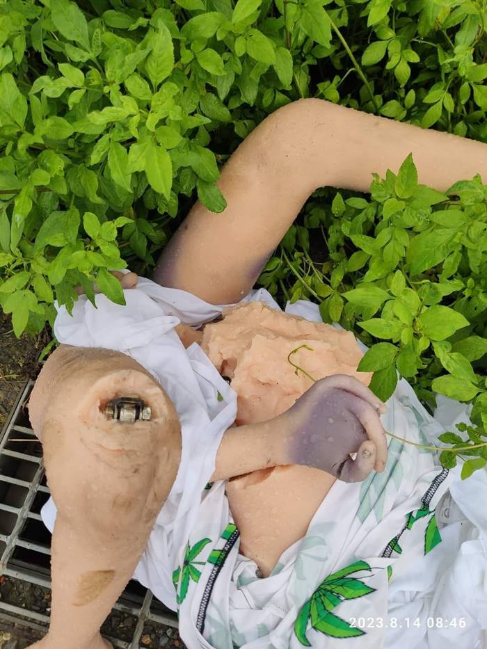 ตุ๊กตายาง ตุ๊กตายาง