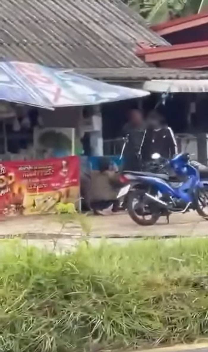 ทำร้ายร่างกาย ทำร้ายร่างกาย