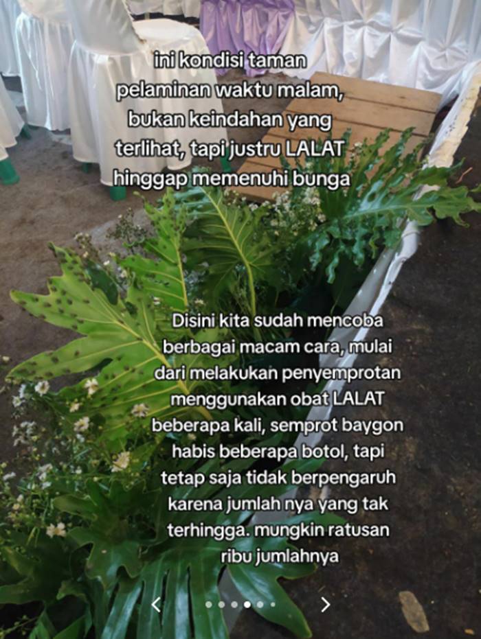 งานแต่งงาน งานแต่งงาน