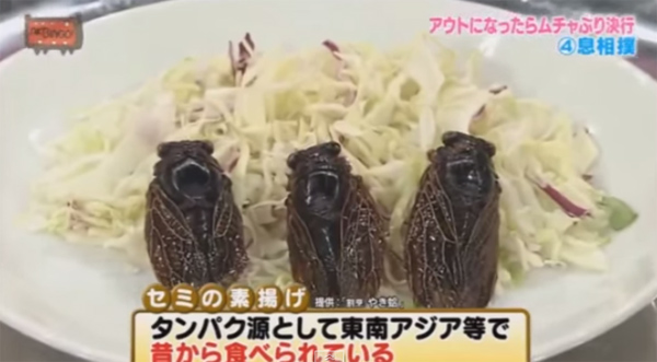 เกมอะไรนี่ แข่งเป่าแมลงใส่ปากเพื่อน ใครแพ้ต้องเคี้ยวกลืนให้หมด เกมอะไรนี่ แข่งเป่าแมลงใส่ปากเพื่อน ใครแพ้ต้องเคี้ยวกลืนให้หมด