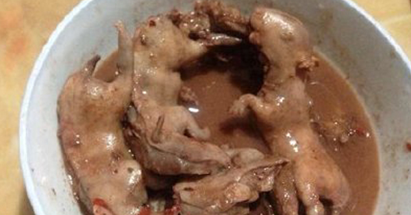 หยึย แม่จีนให้ทำตุ๋นหนูชามนี้ให้ลูกกิน บอกมีประโยชน์ต่อสุขภาพ หยึย แม่จีนให้ทำตุ๋นหนูชามนี้ให้ลูกกิน บอกมีประโยชน์ต่อสุขภาพ