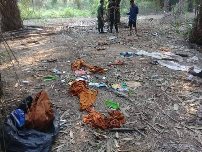 ช้างป่าเหยียบ ช้างป่าเหยียบ