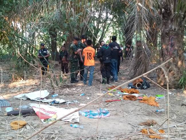 ช้างป่าเหยียบ ช้างป่าเหยียบ