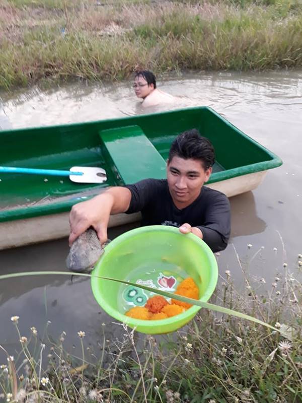 ปลาซัคเกอร์ ปลาซัคเกอร์