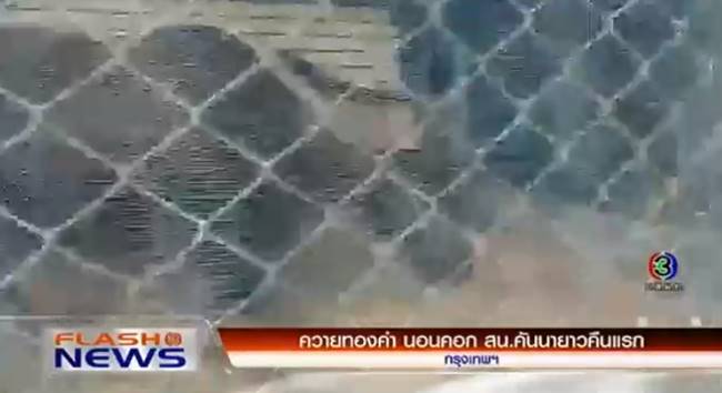 ควายทองคำ ควายทองคำ